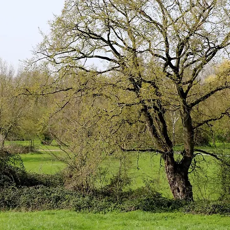 فندق مبيت وإفطار Pointe De La Verdure *